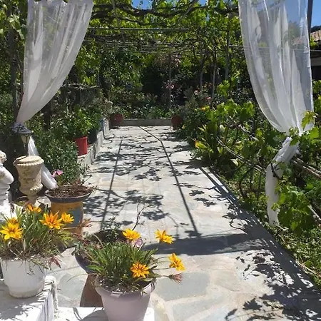 Malotu * Szinarádesz