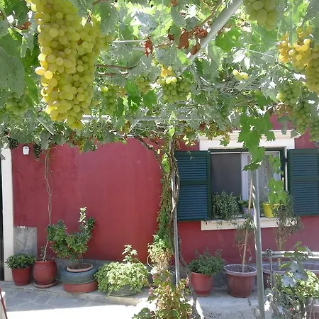 Malotu * Szinarádesz