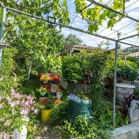 Malotu Apartament